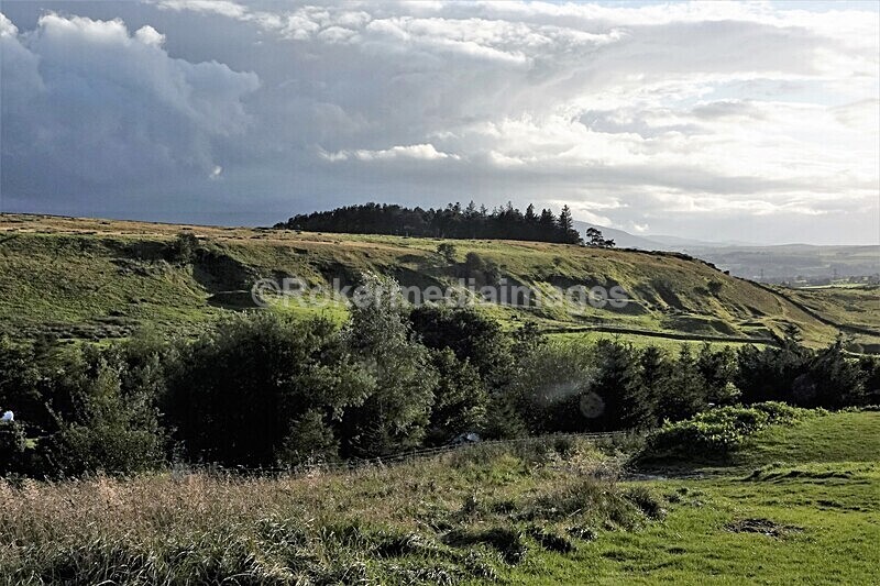 DSC07736 - SEPT 2020 STAYCATION