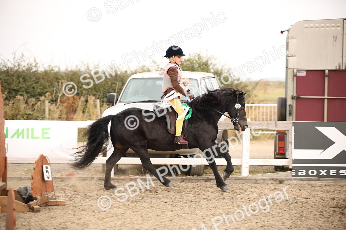 SBM_11742 - Class 404a Junior Working Veteran- 40cm (15-19)