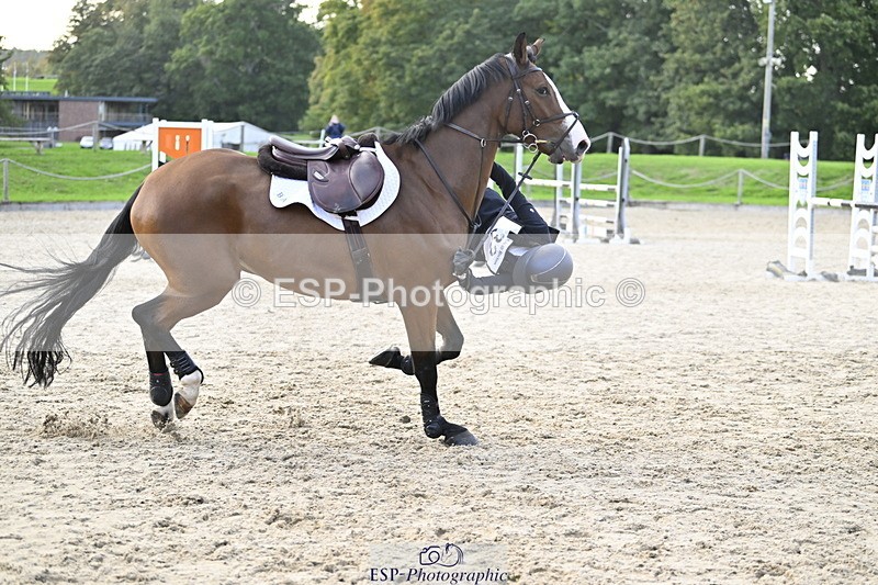 251005A-180312-05563 - Cls 12 Adv 1.10m Ind