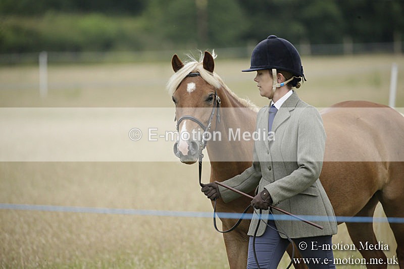 B230619-0030 - Bourne Valley Riding Club Summer Show 23/06/19