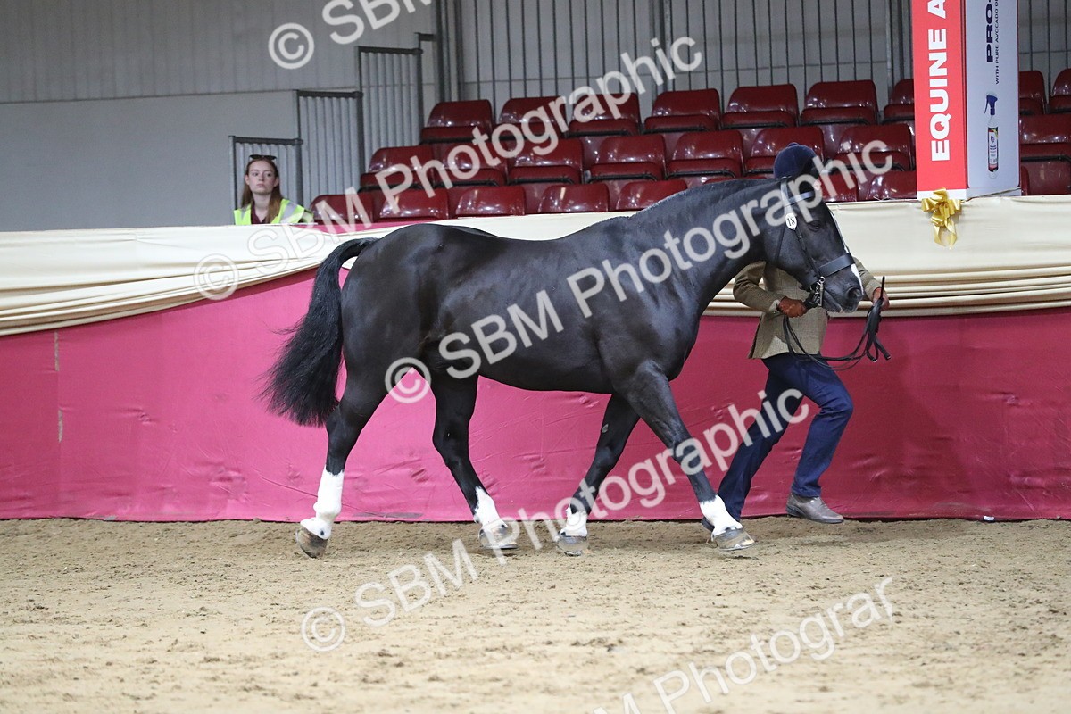 SBM_06323 - Class 9R Regional- IH Pre Vet