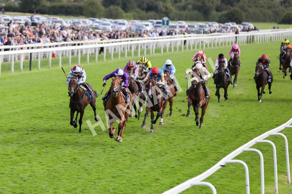 230824-Race 6-Angelo Buonarroti-8516 - Race 6 4.45pm British Stallion Studs EBF Convivial Maiden Stakes
