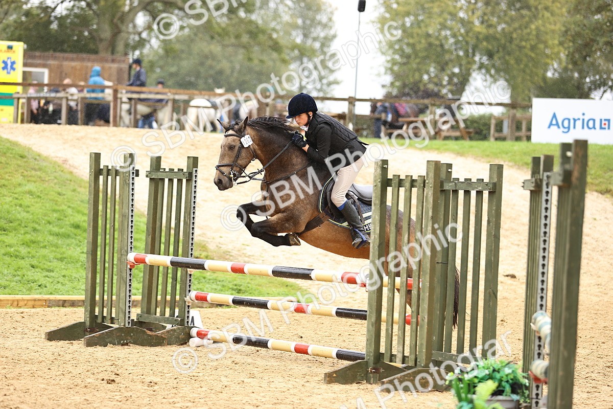 SBM_70018 - Supreme Championship 80cm 85cm