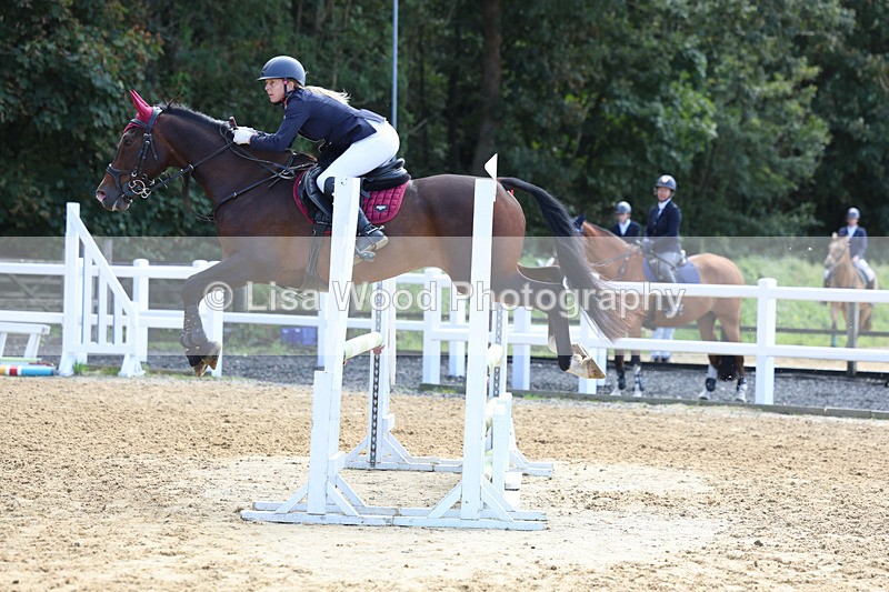 3E7A9113 - Class 9: Senior British Novice/90cm open