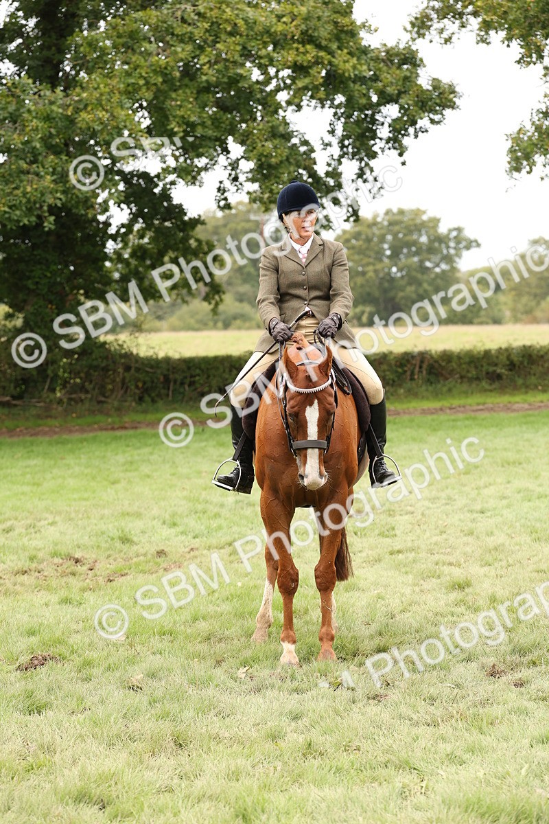 SBM_64271 - S65 - Riding Horse & Hack & Thoroughbred Ridden