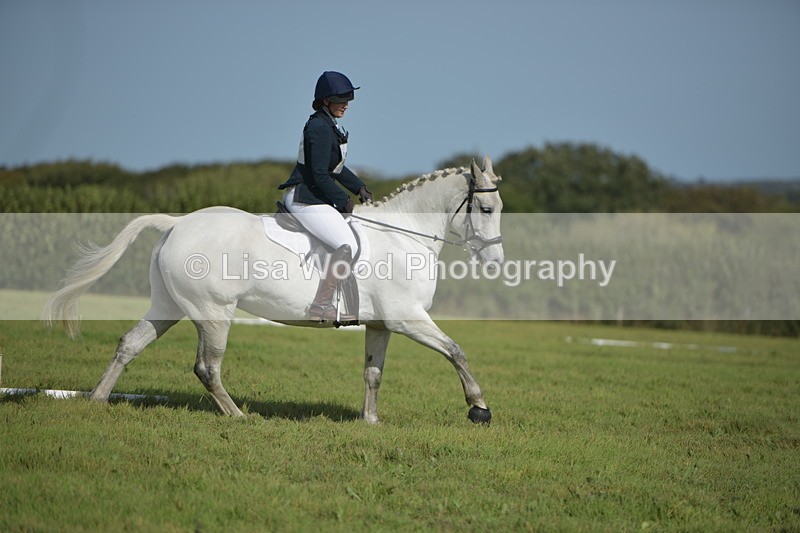 RAY_8139 - Class 2B: Trekenning Open: Dressage