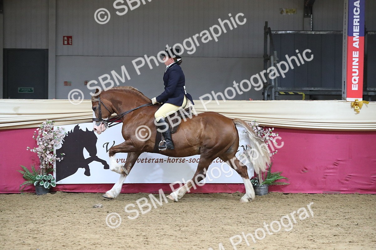 SBM_16384 - Class 502 M&M Ridden Supreme Final