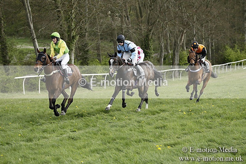 PtP 170417 331 - Old Berks Point-to-Point Lockinge 17/04/17