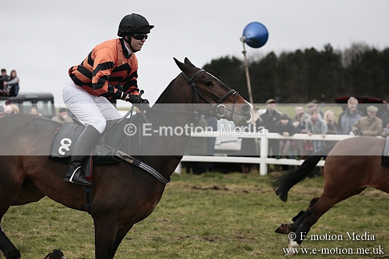 PtP 180218 132 - Combined Services Point-to-Point Larkhill 18/02/18