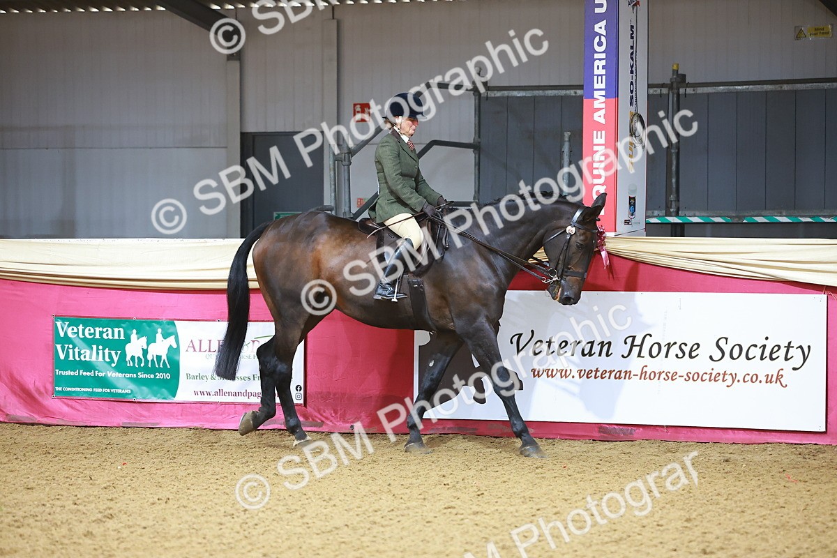 SBM_07543 - Class 101 - HOYS Veteran Qualifier - Ridden Diamond