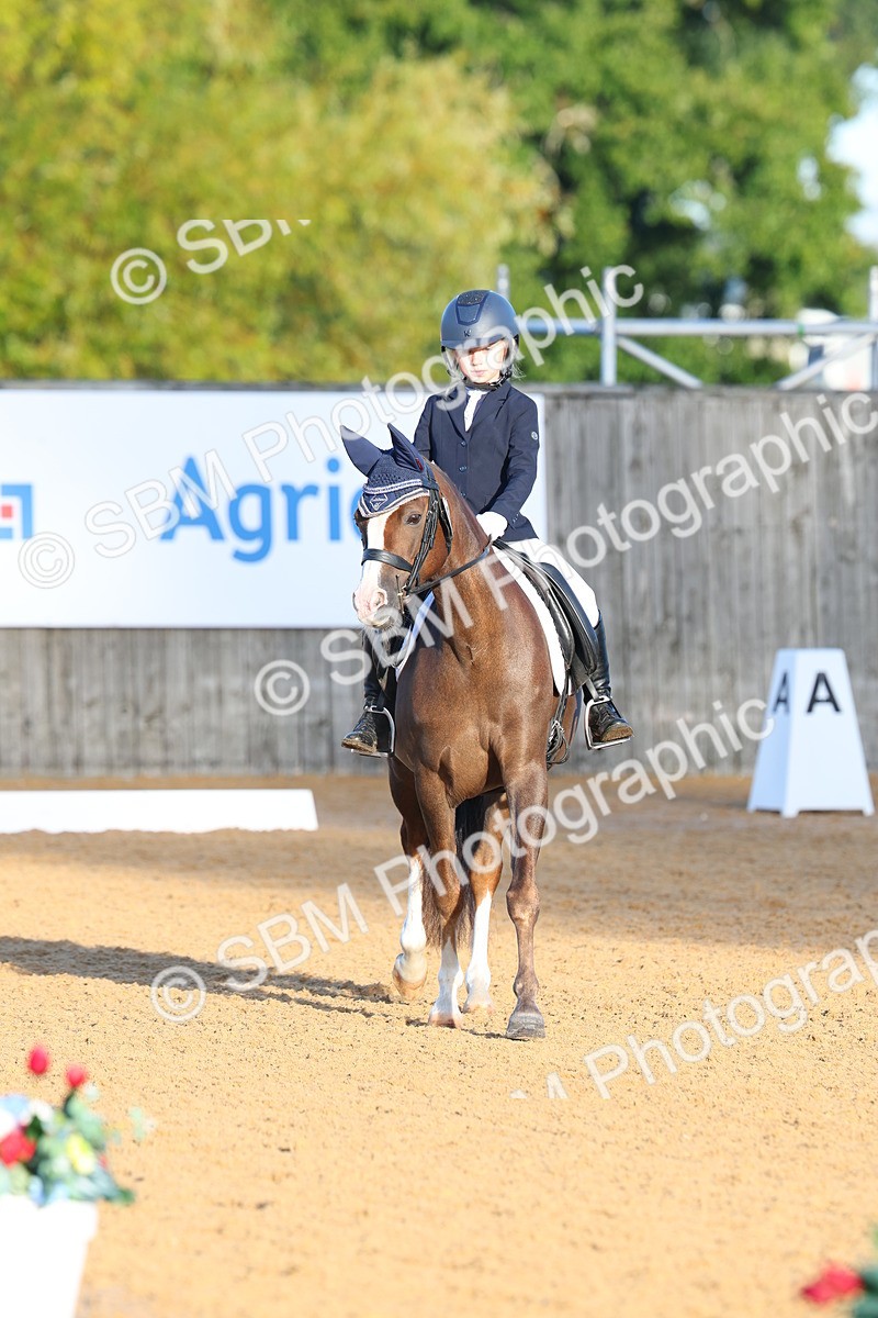 SBM_33454 - D26 - Test Starter Test 1