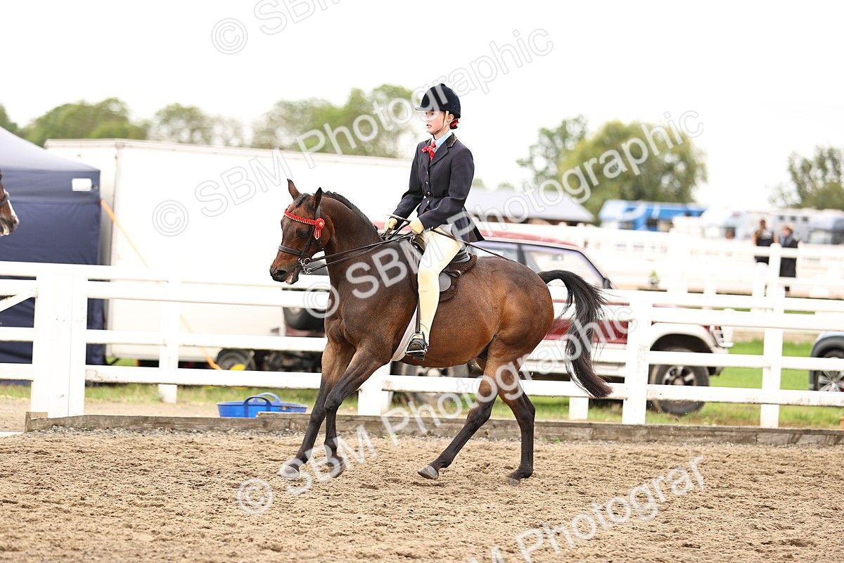 SBM_01370 - Class 54 - Riding Club Horse Pony