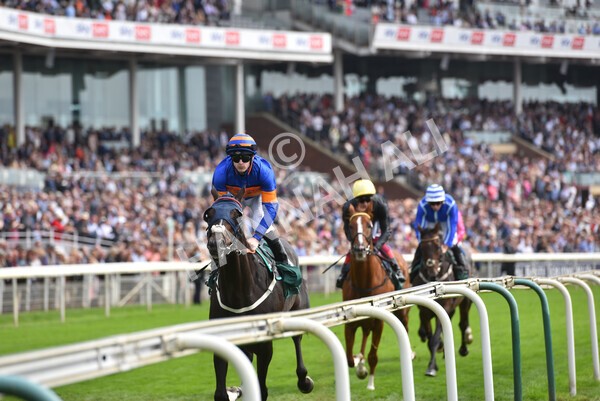 yr20082021r2-47 - Race 2 2.25pm Weatherbys Hamilton Lonsdale Cup (British Champion Series race)
