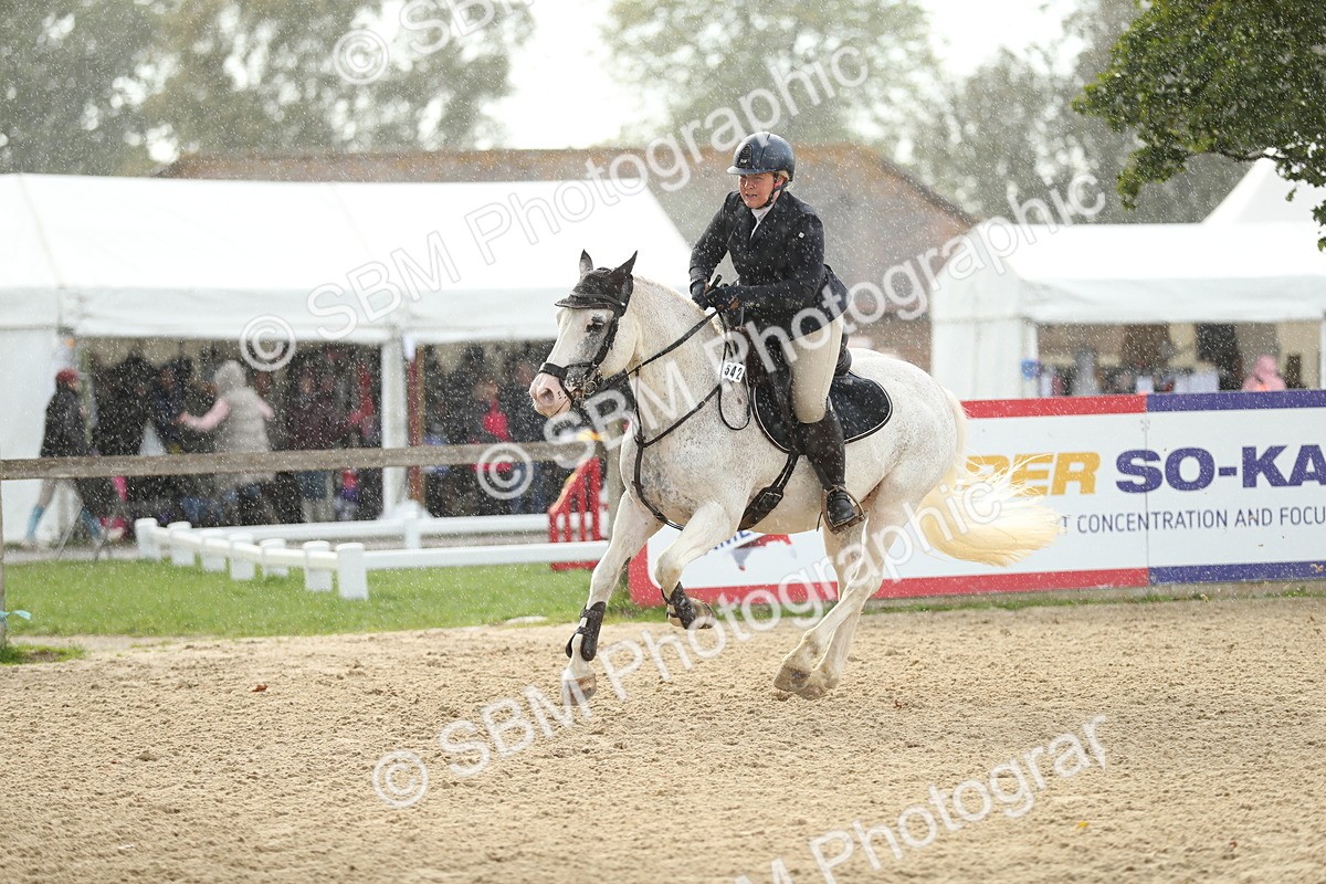 SBM_10782 - J31 - Senior Horse & Pony 75cm Championship