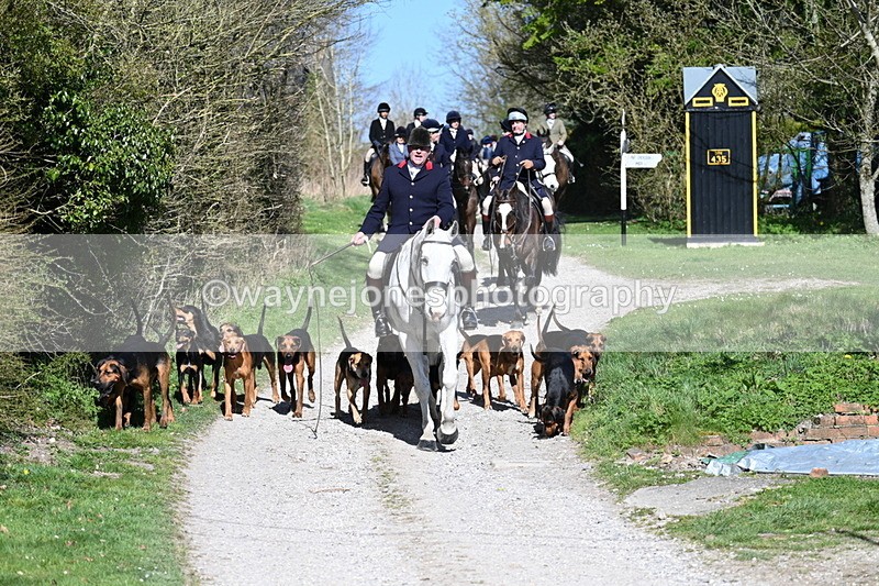 WJ7_9650 - Home for hunt tea !