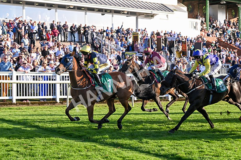 160824-Race 5-Ready Freddie Go-9589 - Race 5