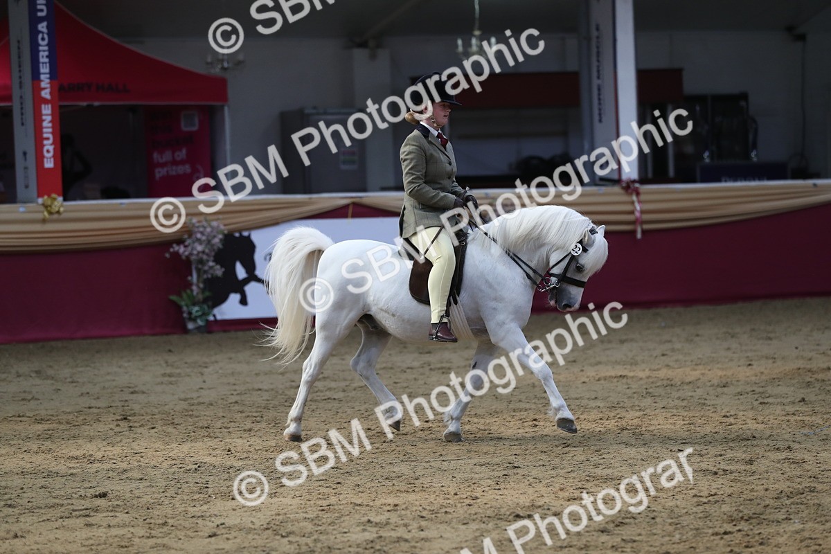 SBM_08406 - Class 11R Regional Ridden Veteran