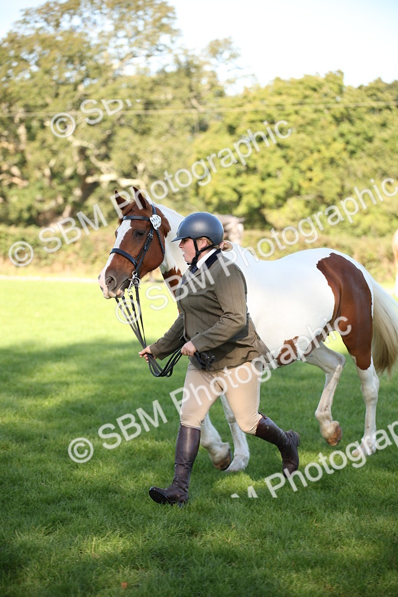 SBM_36559 - S10 - Best In Hand Horse & Pony