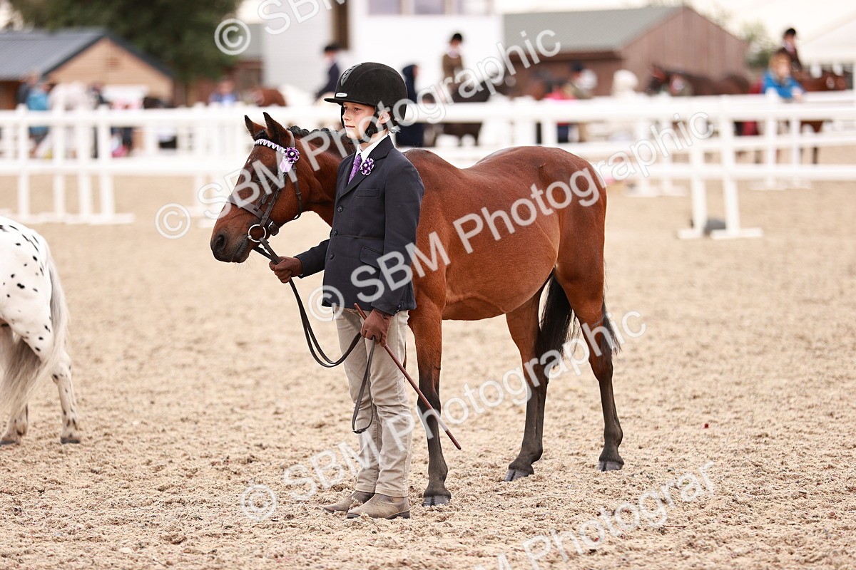 SBM_18566 - Class 421 - Childs Best Friend - Jnr