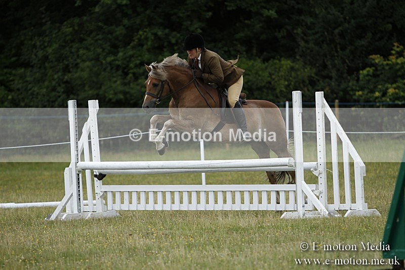 BVR160717-353 - Ring 3 BVRC Show 16/07/17