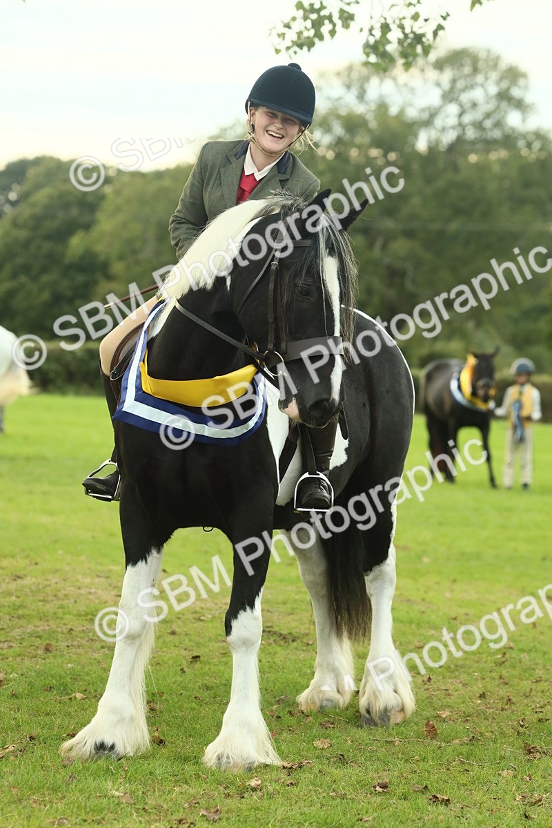 SBM_75295 - Super Supreme Championship