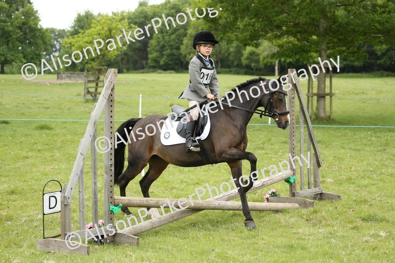 20250517-0468 - Class 20 - Beginners Working Hunter