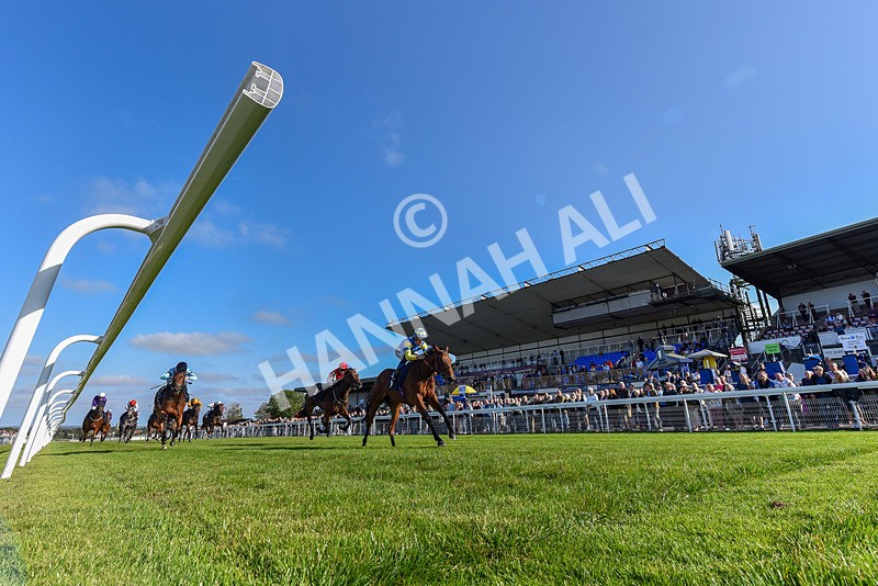 180924-Race 5-Blue Zodiac-7448 - Race 5