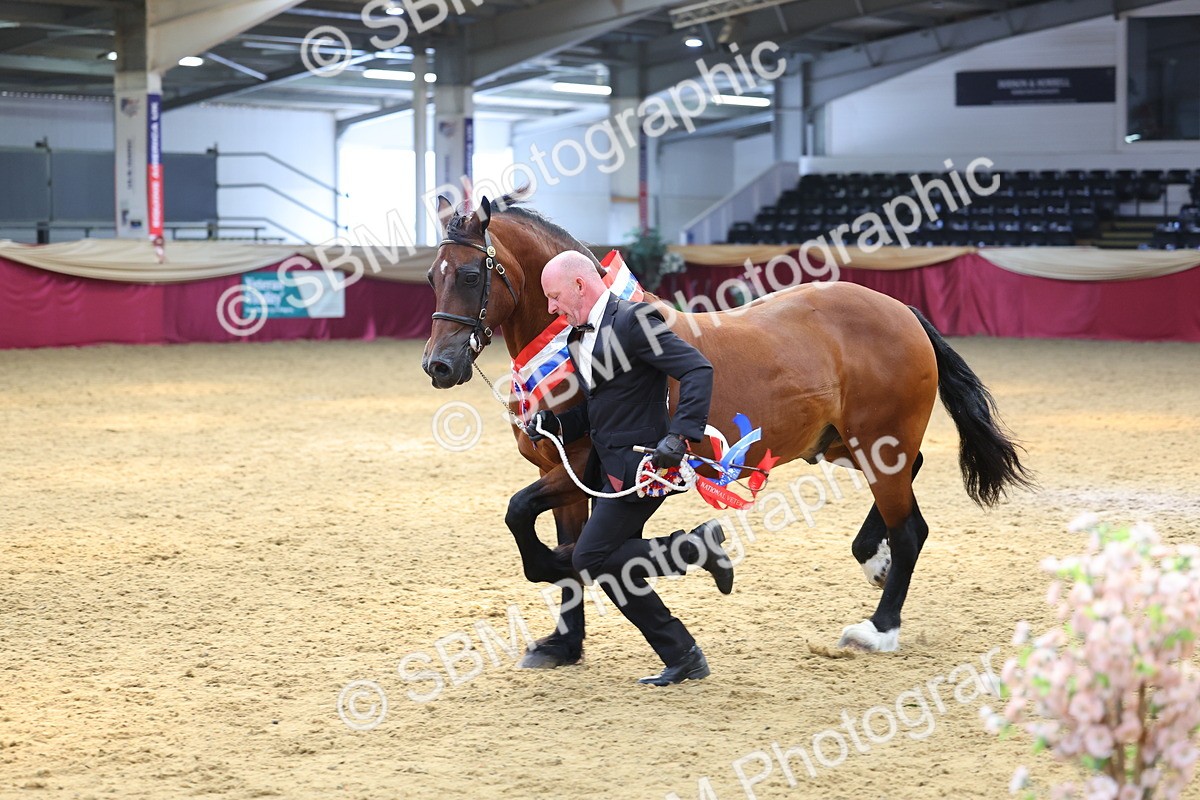 SBM_23273 - Supreme Final - IH Champion