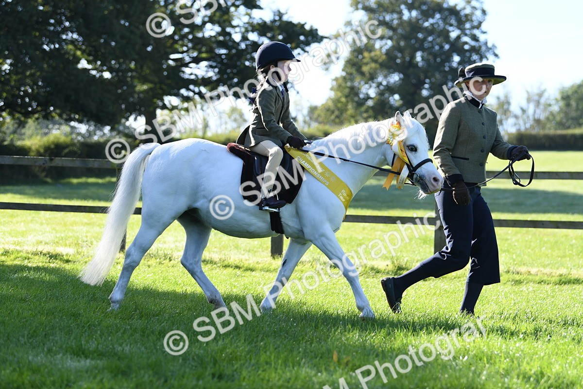 SBM_35542 - Top Turnout Supreme Championship