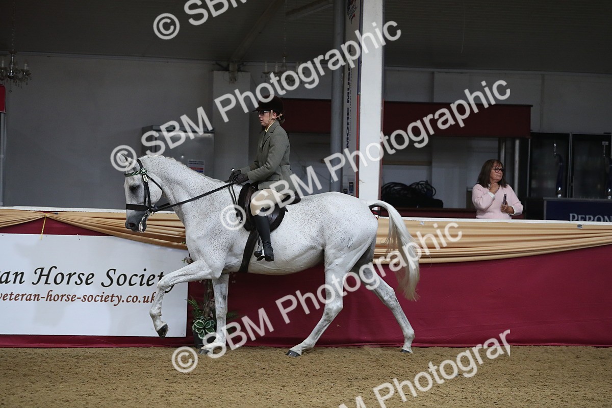 SBM_10434 - Class 102 Equitation (best rider) Adult