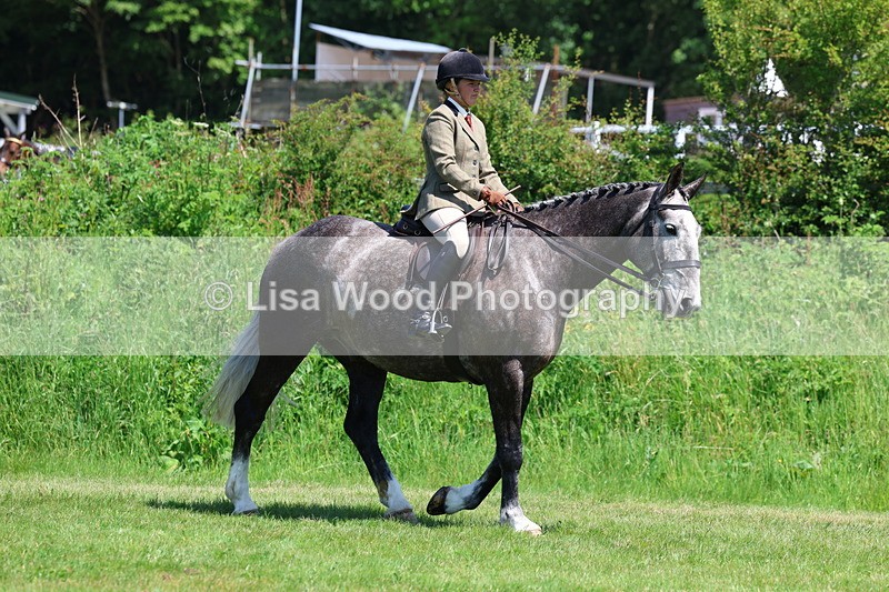 3E7A8181 - Class 13: Ridden Hunter