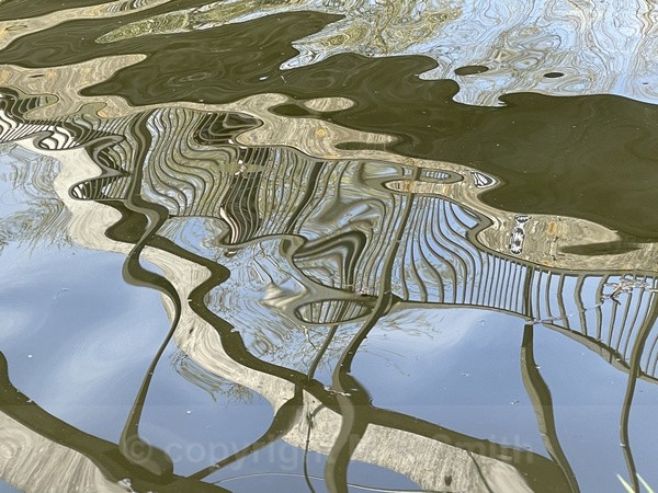 Canal Reflections - LANDSCAPES & TREES