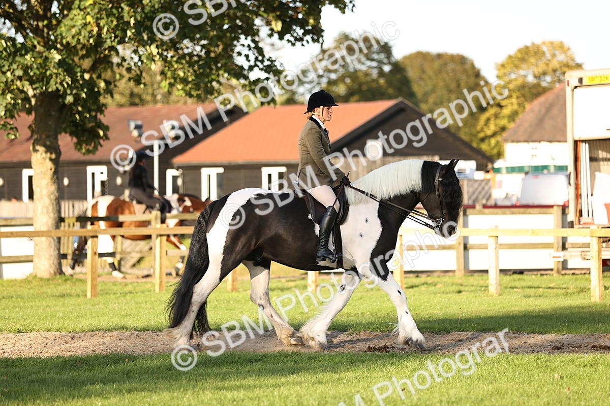 SBM_30108 - Novice & Newcomers Supreme Championship