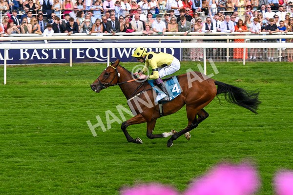 280625-Race 4-Hankelow-0533 - Race 4 3.40pm Al Basti Equiworld Dubai Novice Stakes