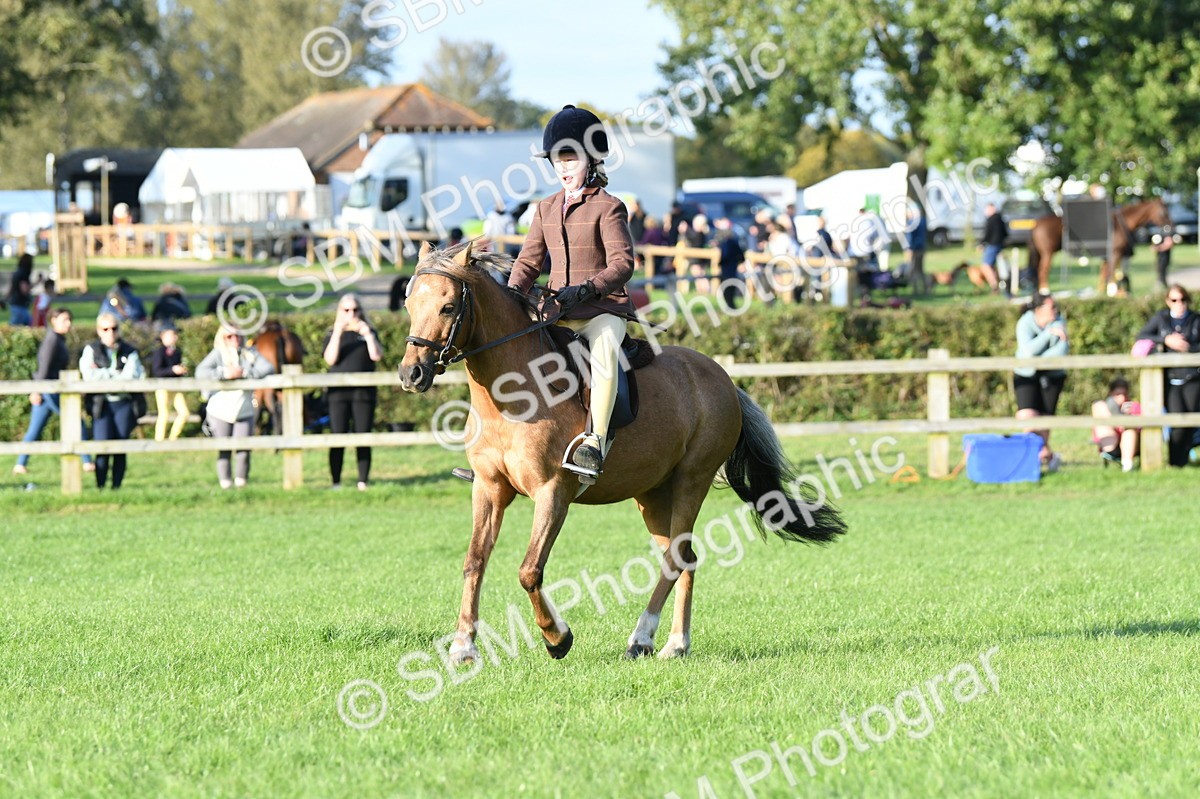 SBM_54095 - S23 - 1st Ridden Mountain & Moorland Pony