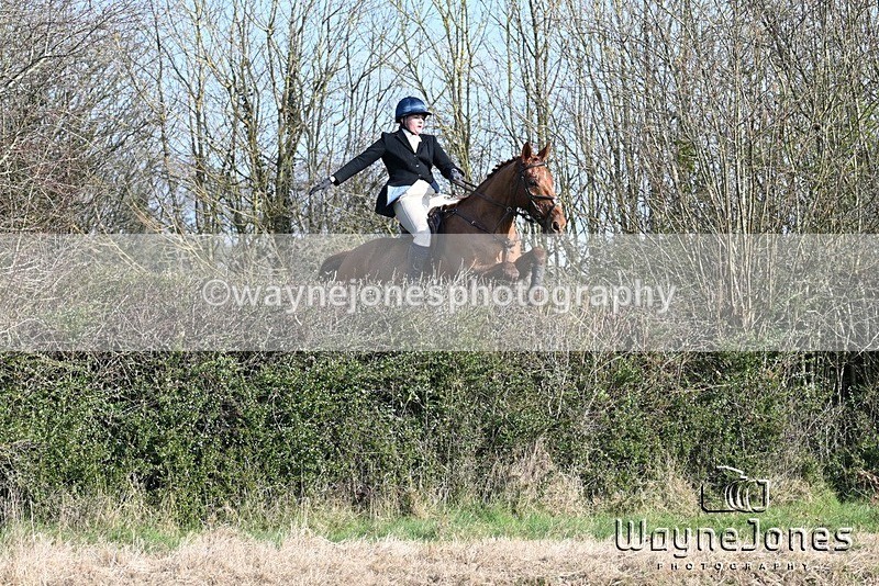 WJ7_5901 - Edited examples