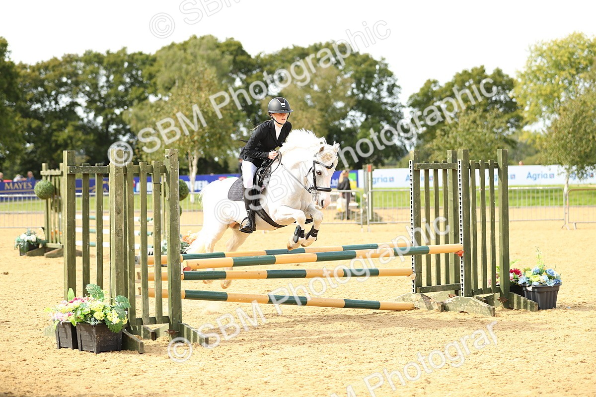 SBM_67267 - J17 - Junior Pony 80cm Championship