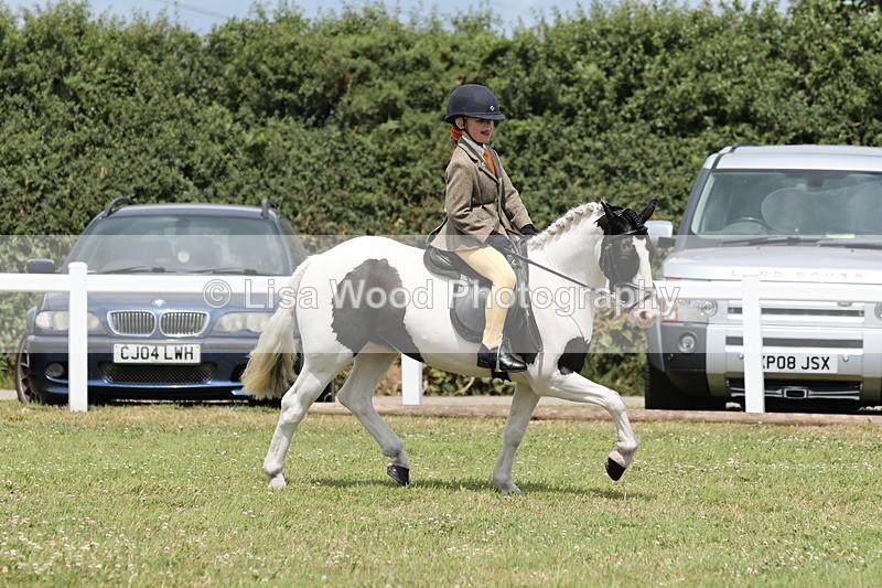JPP_1960 - Class 18: Tiny Tots Working Hunter Pony