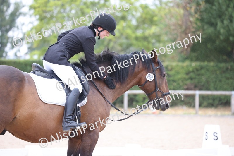 20250820-0362 - Class 11 - My Quest Novice 3