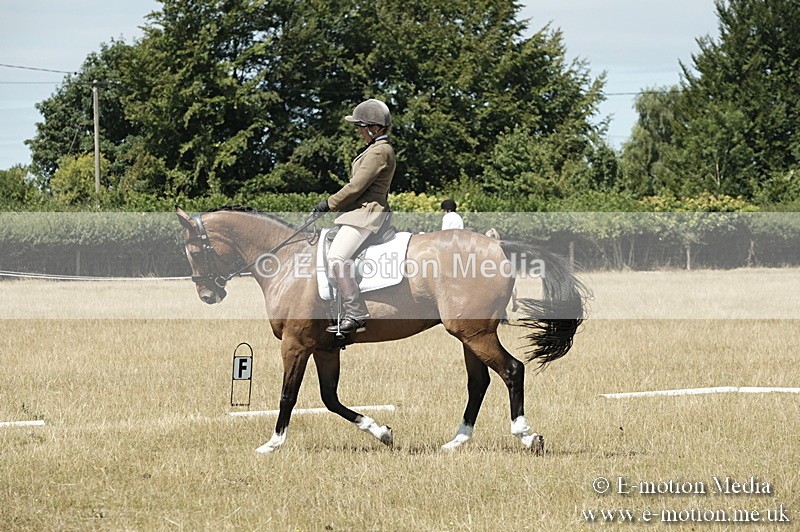 _PJP5874 - Dressage Classes BVRC Show 2018