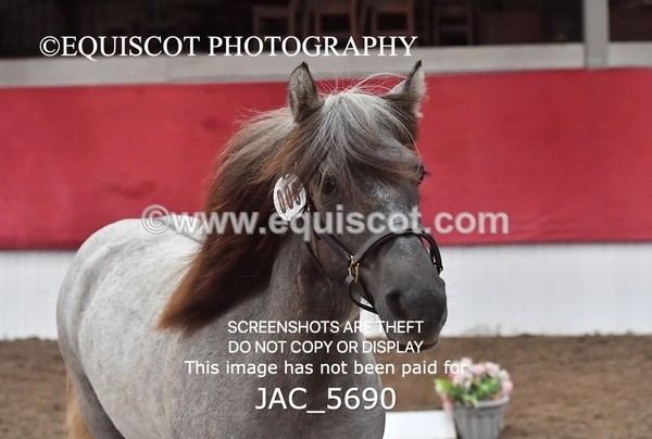 JAC_5690 - 6 Glenmuir Niamh