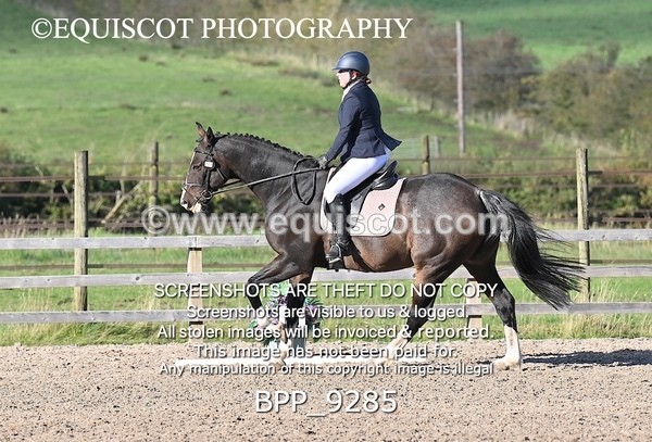 BPP_9285 - SHORT ARENA