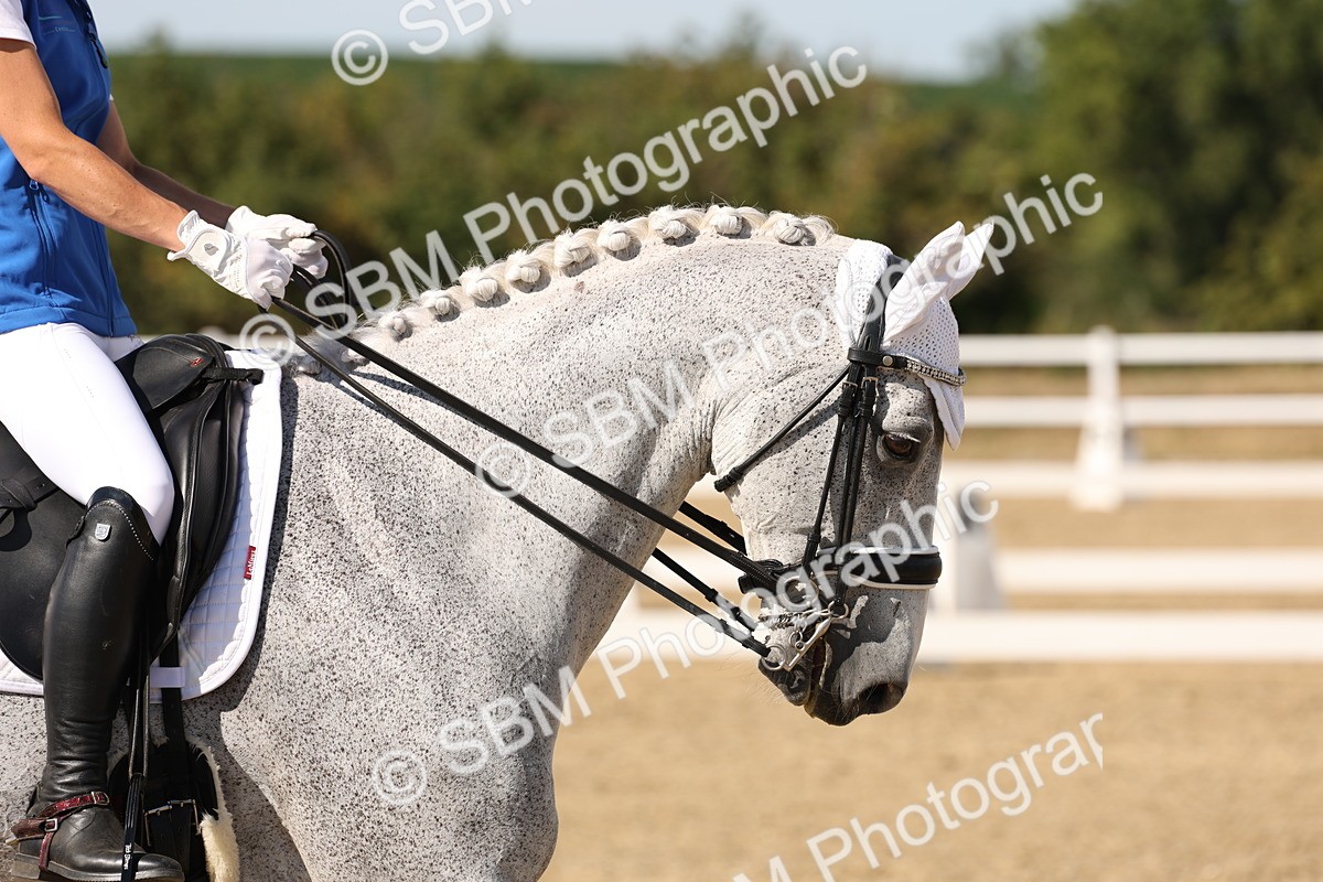 SBM_003840 - Elementary 4