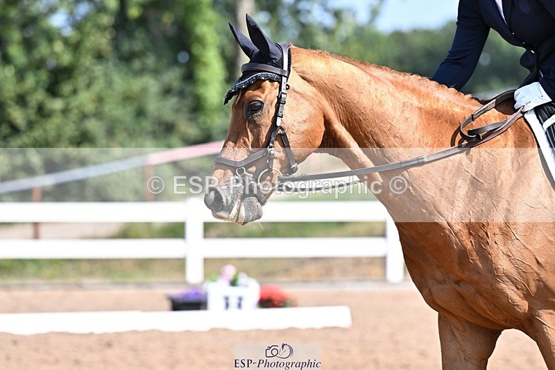 250816-110633-03656 - 138-Claire.BirdPirolo