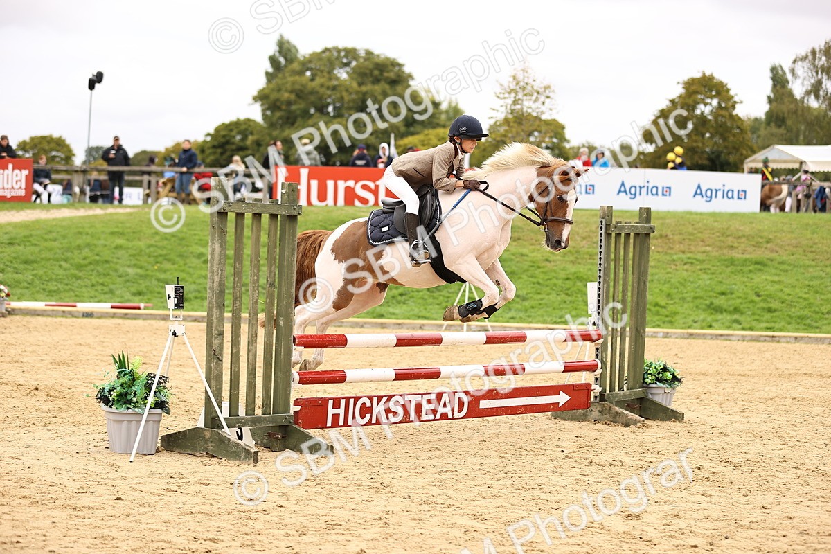 SBM_64762 - J17 - Junior Pony 80cm Championship