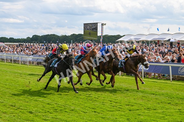 310525-Race 6-Dantes Lad-0087 - Race 6 4.25pm Royal Yorkshire Regiment Handicap