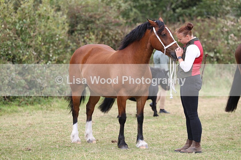 3E7A4643 - Class 16: Best Grass Kept