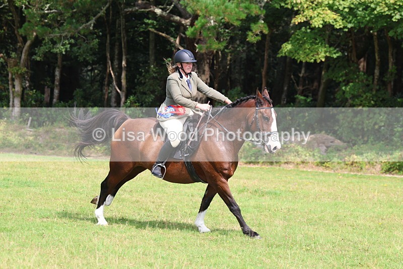 3E7A6112 - Working Hunter Championship