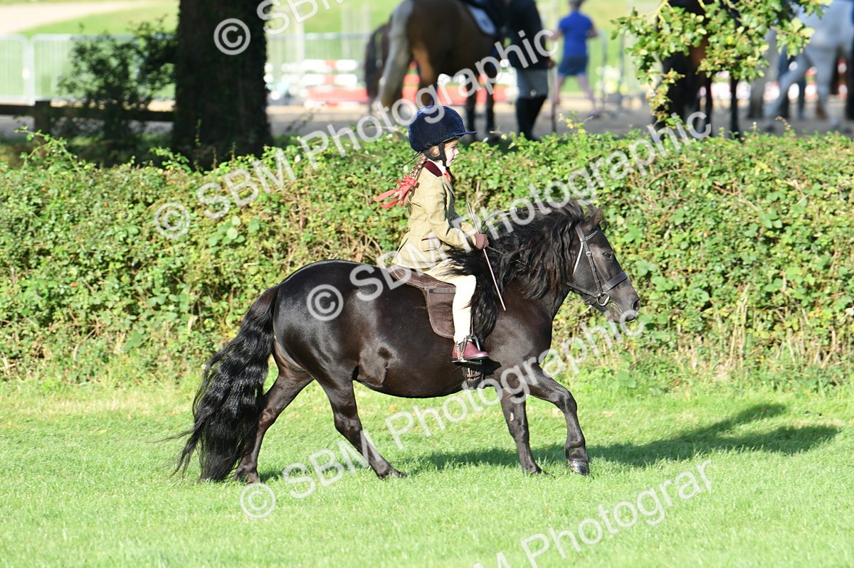 SBM_54064 - S23 - 1st Ridden Mountain & Moorland Pony