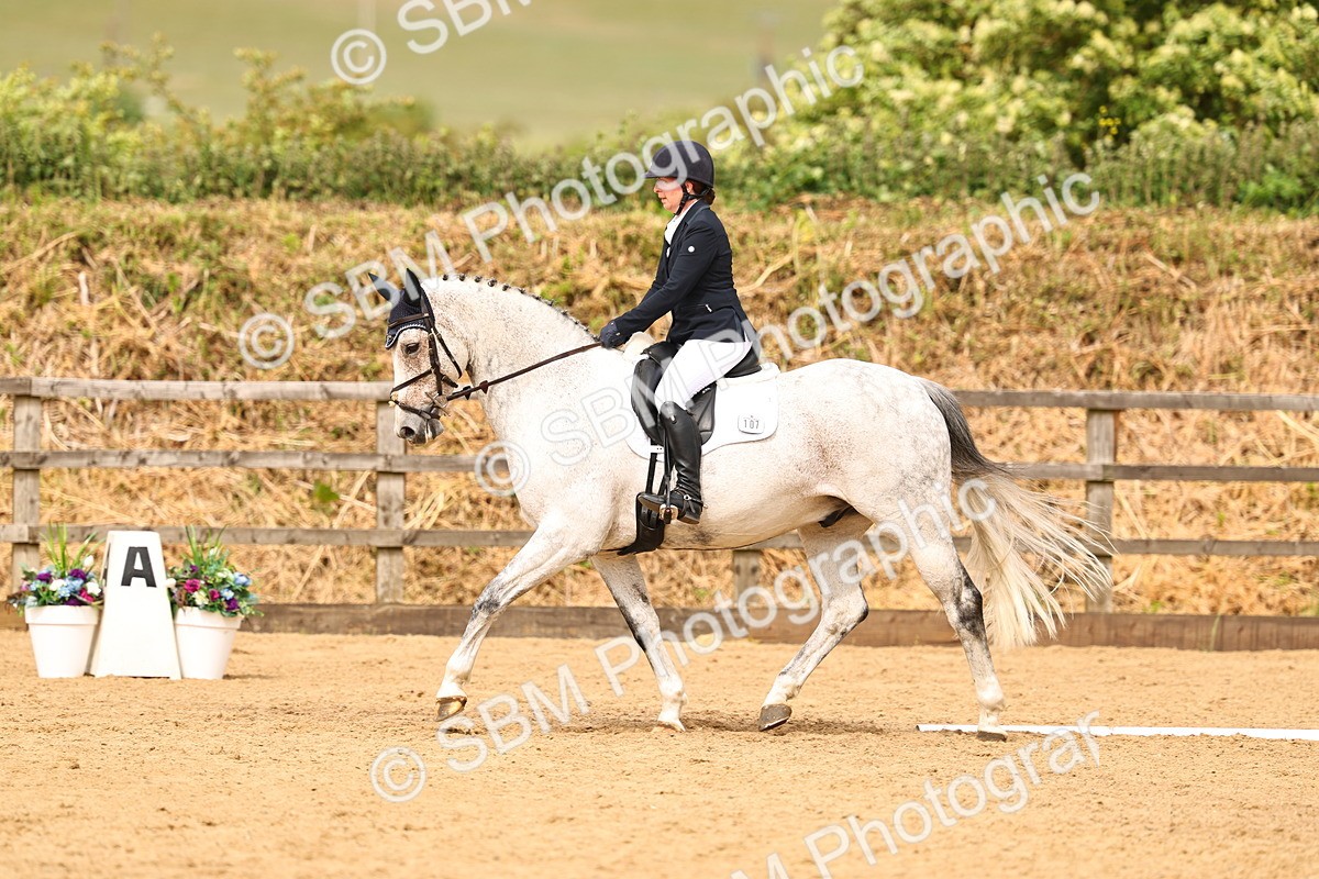 SBM_003731 - Class 7 - Novice 2